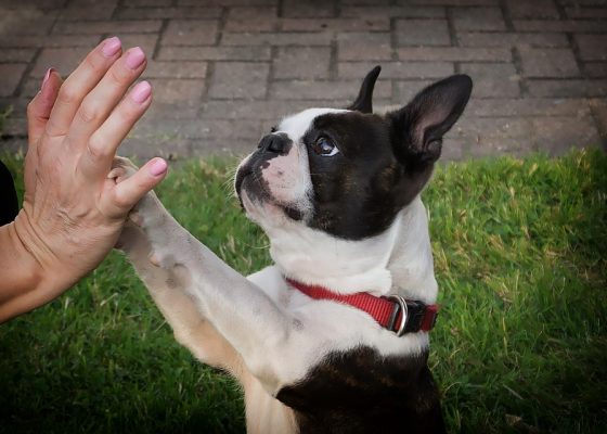 Concienciación para prevenir la artrosis: 3 factores clave